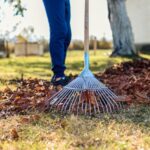 Sustainable and eco-friendly tools