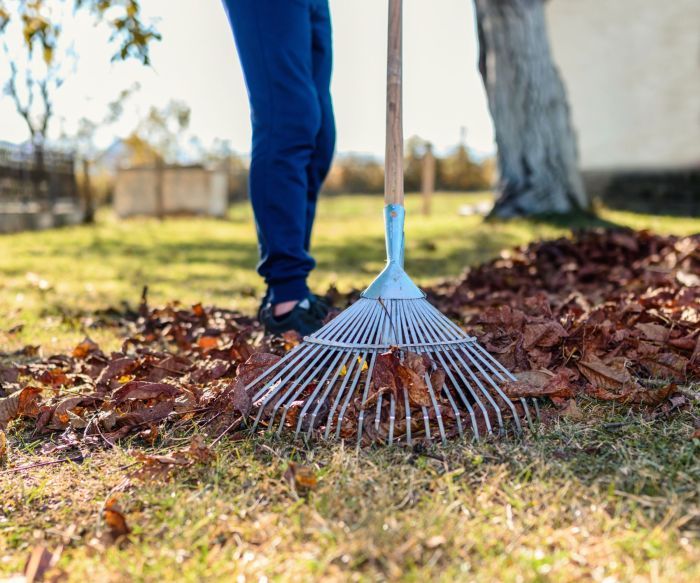 Sustainable and eco-friendly tools